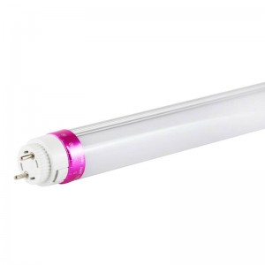 LED T8 buis speciaal Delicatessen 10W 600mm