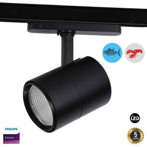 Proyector LED trifásico 30W especial para pescado y marisco