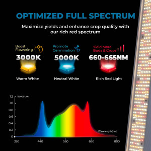 luz led  full Spectrum