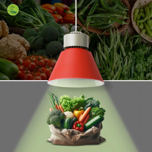 Luminária LED vermelha para frutas e hortaliças