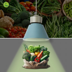 Luminária LED de frutas e legumes