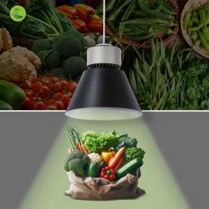 Luminária LED preta para frutas e hortaliças