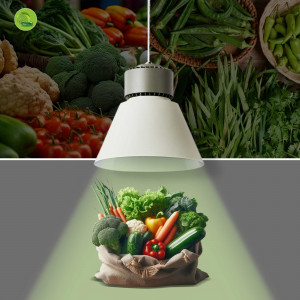 Luminária LED branca para legumes e hortaliças