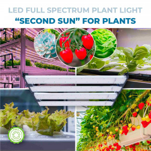 luz led plantas interior