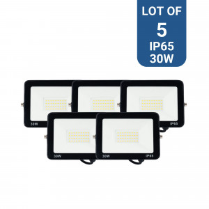 Pack x 5 - Projetores LED para exterior 30W - 95lm/W - IP65